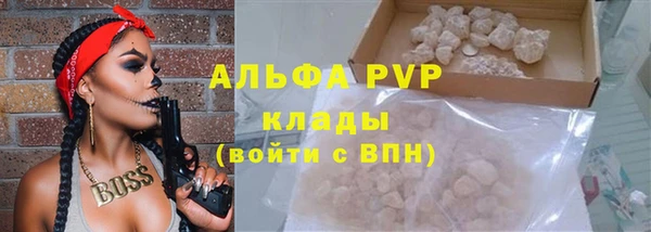 эйфоретик Беломорск