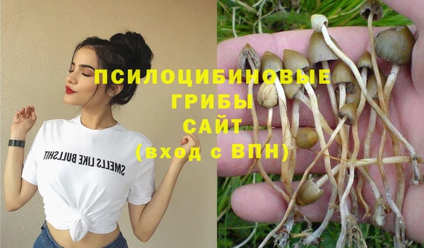 эйфоретик Беломорск
